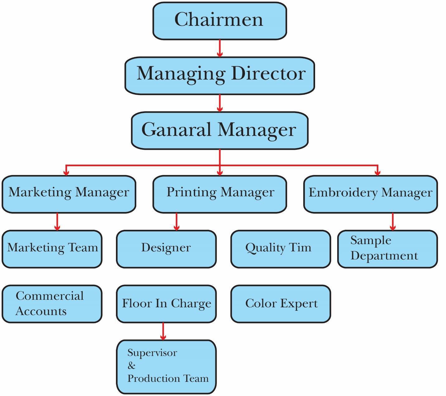 Organizational Structure Chart